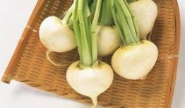 白大反吃瓜,揭秘娱乐圈背后的真相