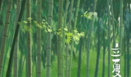 夏至吃瓜等分,共享清凉夏日