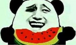 吃瓜群众没了,吃瓜群众消失背后的社会现象解析