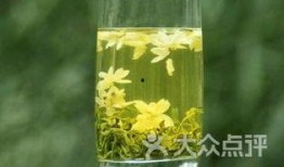 甘肃陇南武都吃瓜,瓜果飘香，尽享夏日田园风情