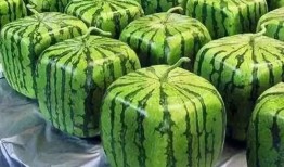 dcy爆料吃瓜,娱乐圈最新瓜料大揭秘！