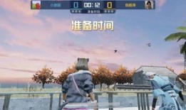 吃鸡绿洲世界吃瓜直播,瓜田李下，揭秘吃鸡高手们的幕后故事