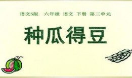 ppt吃瓜制作,揭秘幻灯片中的趣味与智慧