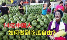 日本吃瓜自由,吃瓜自由，品味独特文化魅力