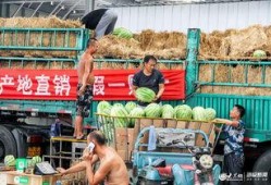 山东日照吃瓜视频