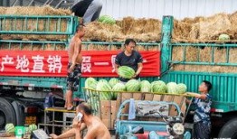 山东日照吃瓜视频