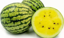 建宇吃瓜,揭秘娱乐圈幕后故事