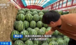 蠡县吃瓜,探寻吃瓜文化的独特魅力