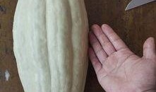 大小杨吃瓜,揭秘娱乐圈幕后故事