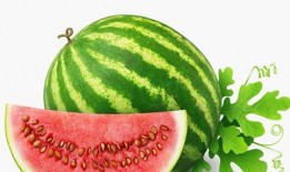 吃皇瓜有什么,一场味蕾的皇家盛宴