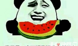 吃瓜梗的视频,带你领略网络热点的魅力与趣味