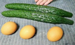 每天吃鸡蛋煮瓜,健康美味两不误的养生食谱