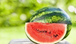 有趣的夏天吃瓜,趣味吃瓜指南