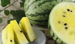 2023吃瓜最新,盘点娱乐圈、社会热点中的那些“瓜”