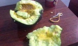 吃瓤的瓜和吃皮的瓜,品味瓤与皮的独特风味