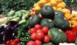 秋瓜菜怎么吃,秋季养生美食指南