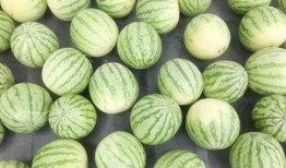 劲战吃瓜,揭秘电竞圈幕后风云