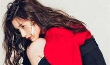 吃瓜小熊宋祖儿,揭秘娱乐圈的“瓜田”趣事