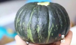 宝宝吃南瓜还是贝贝瓜