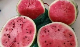 云南麒麟瓜必吃,必尝的甜蜜诱惑