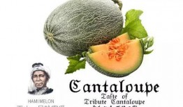 吃瓜才是天性,天性使然的娱乐追求