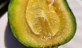 云木吃瓜,揭秘网络热点的幕后故事