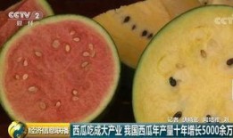 全球吃瓜在线观看,在线观看，共享全球热点瞬间