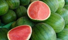 不出名的吃瓜,揭秘那些鲜为人知的美食传奇