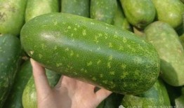 为什么称为吃瓜,揭秘“吃瓜”一词的由来与流行文化现象