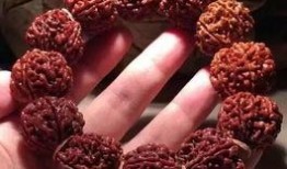 菩提小新吃瓜,揭秘娱乐圈的甜蜜与苦涩