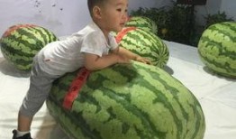 上海大事件吃瓜