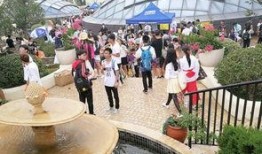 金泰广场吃瓜群众,吃瓜群众见证的繁华盛景