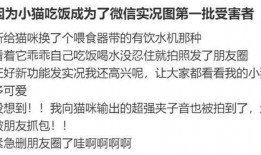吃瓜记录,揭秘娱乐圈那些不为人知的吃瓜瞬间