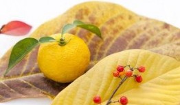 柚子在长滩吃瓜,尽享夏日甜蜜瓜趣