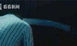 吃瓜群众在线切瓜视频,吃瓜群众在线切瓜，趣味横生短视频引热议