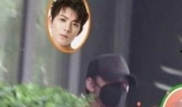 吃瓜大人来了视频,揭秘娱乐圈幕后故事