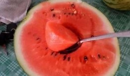 奇妙社吃瓜,揭秘娱乐圈幕后故事