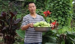 吃兔儿瓜有什么好处,养生保健的多重益处揭秘