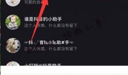 吃瓜小助理抖音,吃瓜小助理带你揭秘娱乐圈幕后故事