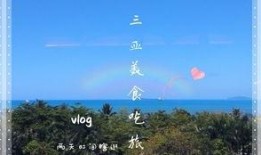 吃瓜小妹的vlog,揭秘娱乐圈幕后故事