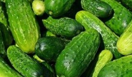 吃瓜群众吃青瓜视频,揭秘吃瓜群众与青瓜的欢乐互动