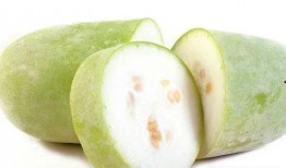 贵人吃贵瓜,从“贵人吃贵瓜”看社会阶层与生活品质