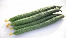 吃瓜群众买黄瓜图片,吃瓜群众与黄瓜的甜蜜邂逅