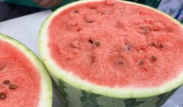 吃瓜不要瓜,网络热词背后的文化现象