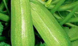 吃瓜184,一场网络热议背后的真相