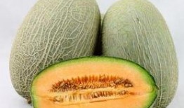 流感时吃哈密瓜,哈密瓜助力健康恢复