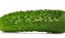 减肥可以吃瓜吗