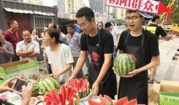 朝阳群众吃瓜今日吃瓜