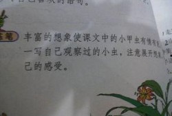 吃瓜故事短文100字,一场百字短文的吃瓜盛宴