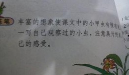 吃瓜故事短文100字,一场百字短文的吃瓜盛宴